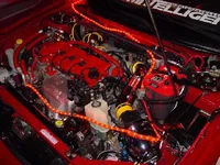 2nd red protege.webp