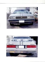 celebrity gt.webp