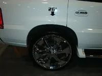 im000249.webp