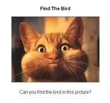 findthebirdie.webp