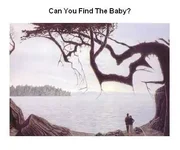 findthebaby.webp