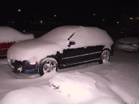 maxinsnow 2.webp