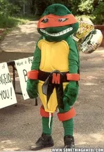 turtle.webp