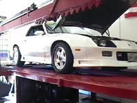 z281.webp