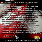 public service announcement.webp