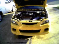 grilleyelids.webp