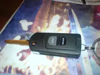 DSC02529.webp