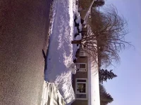 snow1.webp