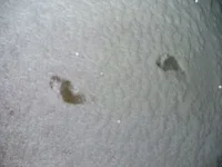 DSCF7423.webp