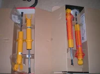 Koni yellows.webp