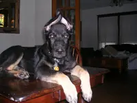 2-03-2010 004.webp