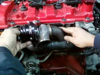 Photo0026.webp