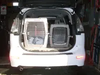 kennels.webp