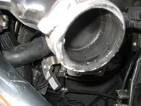 Picture 003.webp