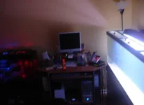 2010-03-19_045239.webp
