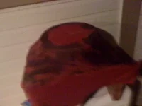 photo.webp