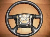 steer 1.webp