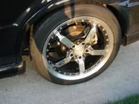 DSC00976.webp