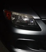 IMGP3077.webp