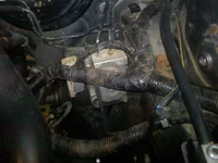 0425001211.webp