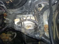 0425001211a.webp