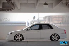 Dub.webp