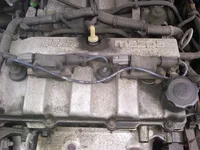 IMG00034-20100428-1629.webp