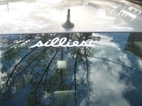 silliest decal 004.webp