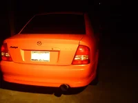 wingless 1.webp
