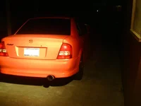 wingless 2.webp