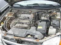 IMG_1880.jpg_low.webp