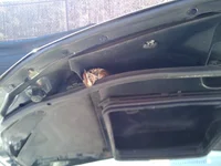 2010-03-31 15.59.56.webp