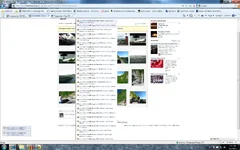 Annabusy.webp