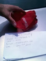 IMG00465-20100619-1232.webp