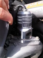 IMG00468-20100619-1233.webp