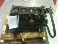 photo.webp