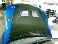 exterior painted hood.webp