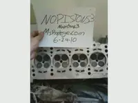 head 8.webp
