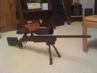 .223.webp
