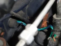 100_6456.webp