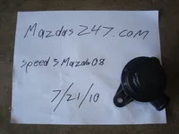 DSC00952.webp