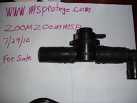 DSC02628.webp