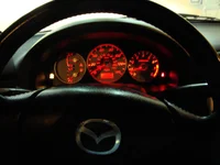 DSC00203.webp