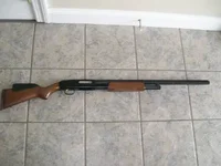Shotgun1.webp