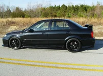 msp22.webp