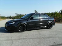 msp!13.webp