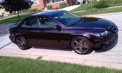 IMAG0262.webp