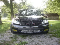 new3 007.1.webp
