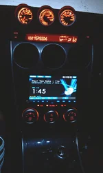 IMAG0387.webp
