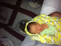 cora1.webp